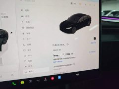 Tesla Model 3 2023 Rear-Wheel Drive - ფოტო 12