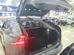 GAC Aion GS4 MAX 1.5T Pilot Edition - ფოტო 19