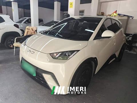 2024 BYD Seagull Glory Edition 305km Vitality Version