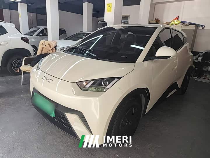 BYD Seagull Glory Edition 305km Vitality Version