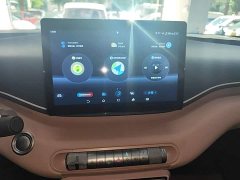 BYD Seagull Glory Edition 305km Vitality Version - ფოტო 13