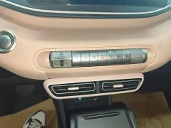 BYD Seagull Glory Edition 305km Vitality Version - ფოტო 14
