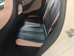 BYD Seagull Glory Edition 305km Vitality Version - ფოტო 17