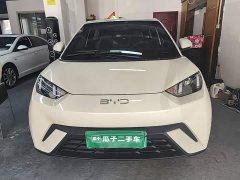 BYD Seagull Glory Edition 305km Vitality Version - ფოტო 3
