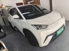 BYD Seagull Glory Edition 305km Vitality Version - ფოტო 4
