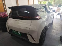 BYD Seagull Glory Edition 305km Vitality Version - ფოტო 7