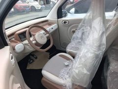FAW Besturn Xiaoma 2025 222km Dynamic Edition - ფოტო 15