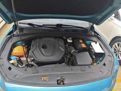 Geely Xingrui 2.0T Diesel Luxury - ფოტო 20