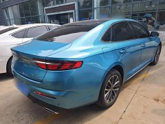 Geely Xingrui 2.0T Diesel Luxury - ფოტო 7