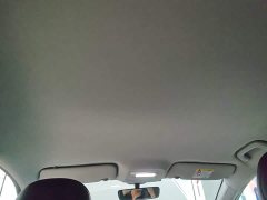 Geely Geometry A 410KM Travel Edition - ფოტო 18
