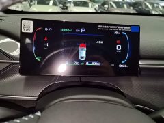 BYD Destroyer 05 Glory Edition DM-i 55KM Luxury - ფოტო 12