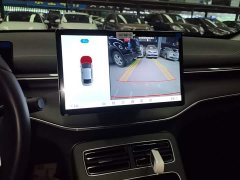 BYD Destroyer 05 Glory Edition DM-i 55KM Luxury - ფოტო 13