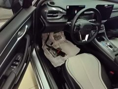 BYD Destroyer 05 Glory Edition DM-i 55KM Luxury - ფოტო 16