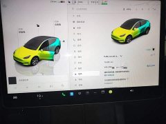 Tesla Model Y Rear-Wheel Drive - ფოტო 12