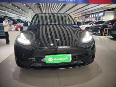 Tesla Model Y Rear-Wheel Drive - ფოტო 3