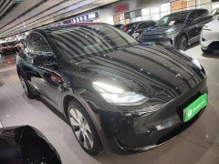 Tesla Model Y Rear-Wheel Drive - ფოტო 4