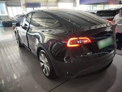 Tesla Model Y Rear-Wheel Drive - ფოტო 5