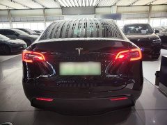 Tesla Model Y Rear-Wheel Drive - ფოტო 6