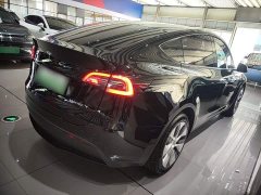 Tesla Model Y Rear-Wheel Drive - ფოტო 7