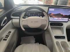 Geely Star Wish 310km Dream Edition - ფოტო 11