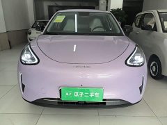 Geely Star Wish 310km Dream Edition - ფოტო 3