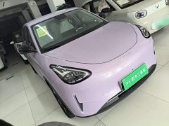 Geely Star Wish 310km Dream Edition - ფოტო 4