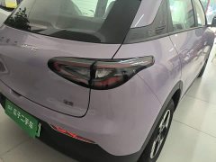 Geely Star Wish 310km Dream Edition - ფოტო 8