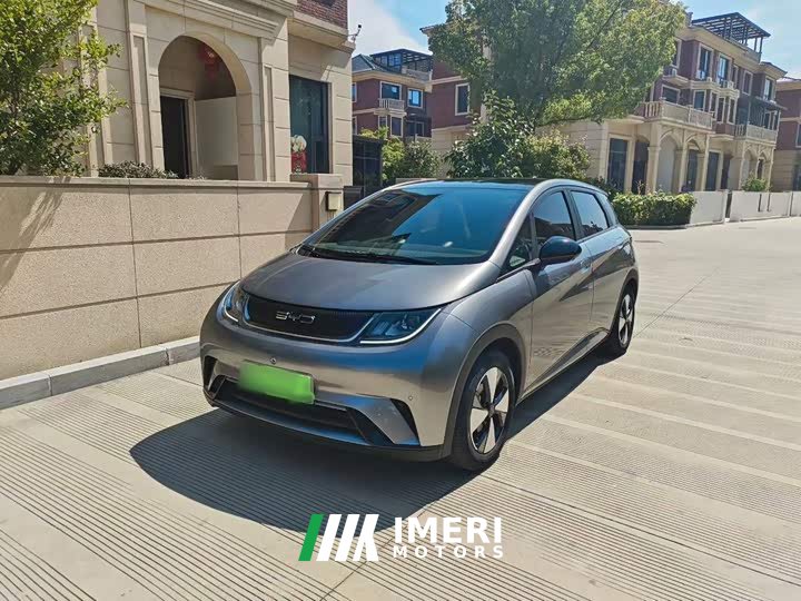 BYD Dolphin 2023 420km Fashion Edition - ავტომობილი ჩინეთიდან