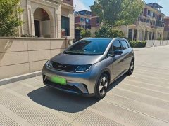BYD Dolphin 2023 420km Fashion Edition - ფოტო 2