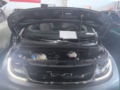 BYD Dolphin 2023 420km Fashion Edition - ფოტო 20