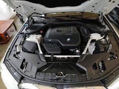 BMW 5 Series Facelift 525Li Luxury Package - ფოტო 20