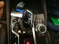 BMW 5 Series Facelift 525Li Luxury Package - ფოტო 14