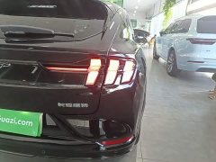 Ford Mustang Mach-E 2021 Boundless RWD Luxury Long Range - фото 8