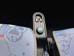 Wuling Hongguang MINIEV 2020 Zizai Edition LFP Battery - ფოტო 14