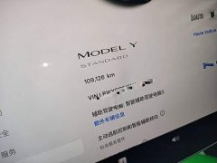 Tesla Model Y 2021 Standard Range RWD - ფოტო 12