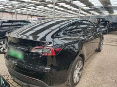 Tesla Model Y 2021 Standard Range RWD - ფოტო 7