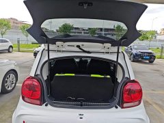 SAIC Corey Wei CLEVER 302km New Four-Seat Super Version - ფოტო 19