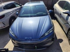 BYD Dolphin 07 DM-i Smart Driving Edition DM-i 1.5T 125km Flagship - ფოტო 3