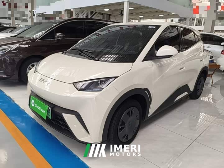 BYD Seagull 305km Vitality Edition