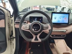 BYD Seagull 2025 305km Vitality Edition - ფოტო 11