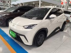 BYD Seagull 2025 305km Vitality Edition - ფოტო 2
