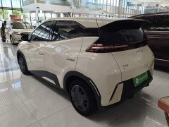 BYD Seagull 2025 305km Vitality Edition - ფოტო 5