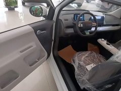 Changan Lumin 205km Xiangqin Edition - ფოტო 16