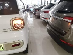 FAW Besturn Xiaoma 2025 222km Dynamic Edition - ფოტო 8