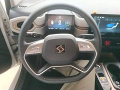 Flower Fairy 251km Clover 36kW - photo 11