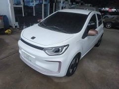 Flower Fairy 251km Clover 36kW - photo 2