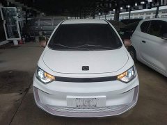 Flower Fairy 251km Clover 36kW - photo 3