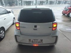 Flower Fairy 251km Clover 36kW - photo 6