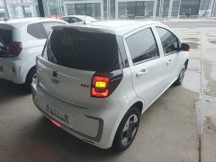 Flower Fairy 251km Clover 36kW - photo 7