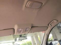 Foton Dajiangjun EV Ethnic Splendor Edition Multi-Purpose Cargo Vehicle - photo 18